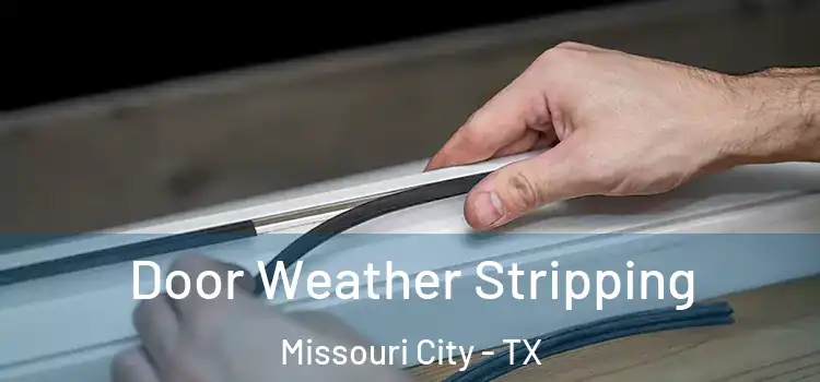 Door Weather Stripping Missouri City - TX
