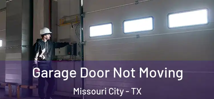  Garage Door Not Moving Missouri City - TX