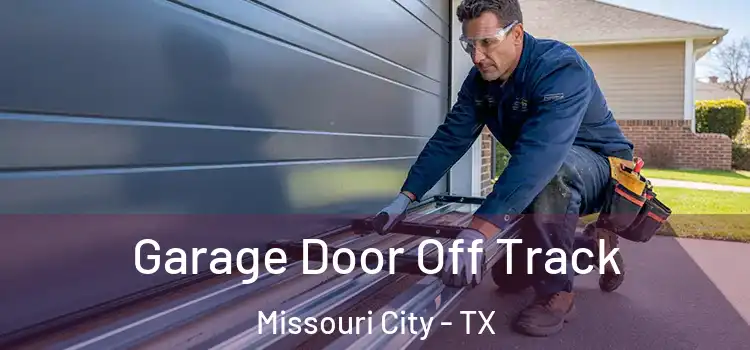  Garage Door Off Track Missouri City - TX