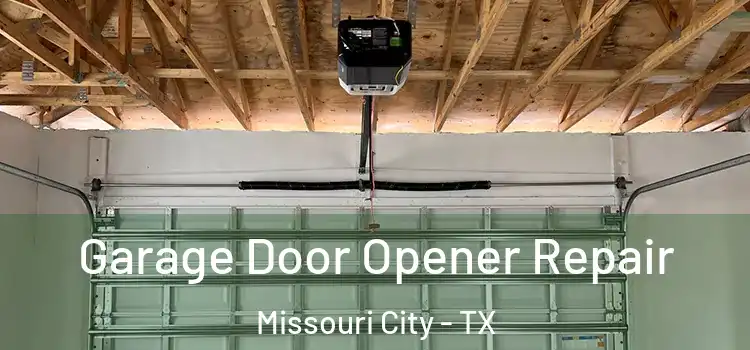  Garage Door Opener Repair Missouri City - TX