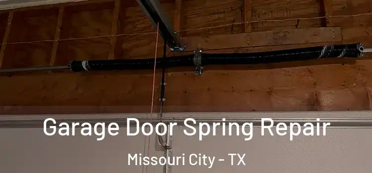  Garage Door Spring Repair Missouri City - TX