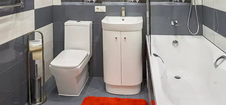 Hansgrohe Shaving Mirror Missouri City