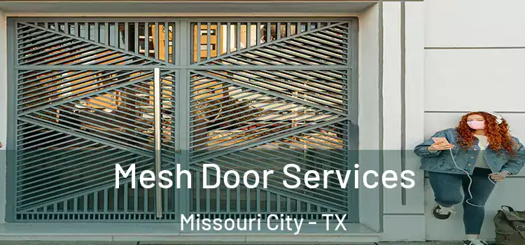 Mesh Door Services Missouri City - TX