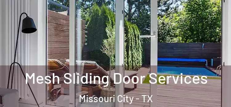 Mesh Sliding Door Services Missouri City - TX