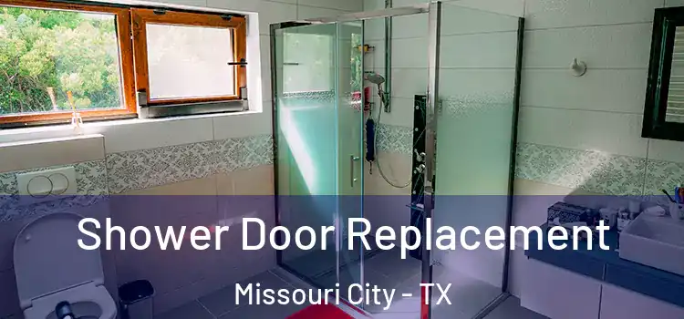 Shower Door Replacement Missouri City - TX